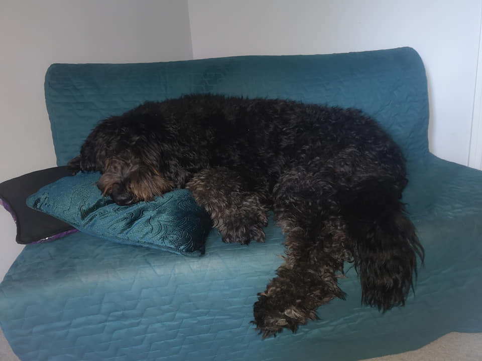 Raven before cutting her hair